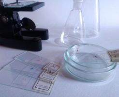 理科の実験道具の写真
